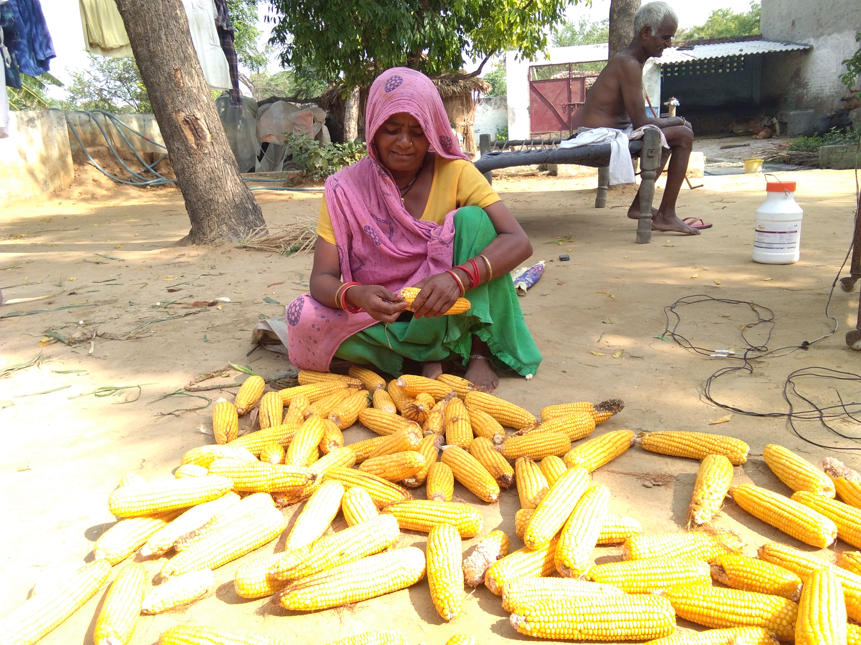 Products of low budget farming initiatives by AROH