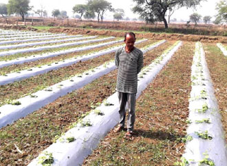 Renewable Energy - Reusing energies through drip irrigation