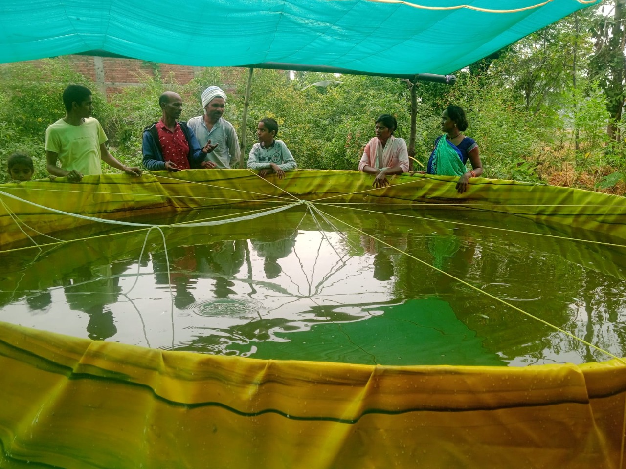 Livelihood from mushroom cultivation