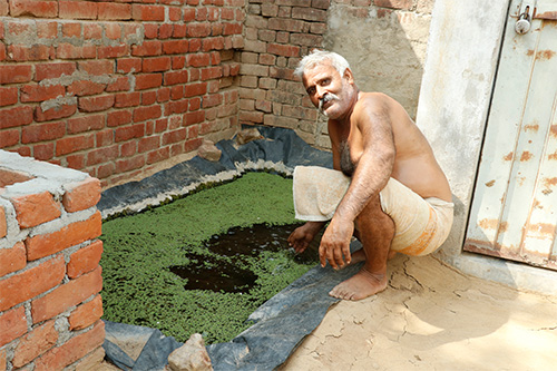 Vermi Compost