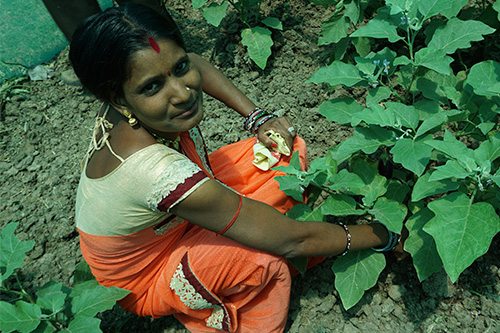 Nutritional Gardening